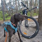 WhatsApp Image 2026-02-26 at 20.27.37