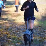 WhatsApp Image 2026-02-26 at 20.27.38 (1)