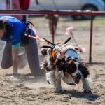 WhatsApp Image 2026-02-26 at 20.27.38