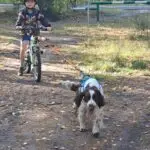 WhatsApp Image 2026-02-26 at 20.27.38 (2)